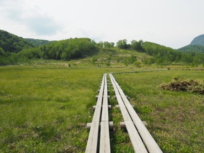 田の原湿原